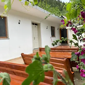  Gasthof Thethi Mountain